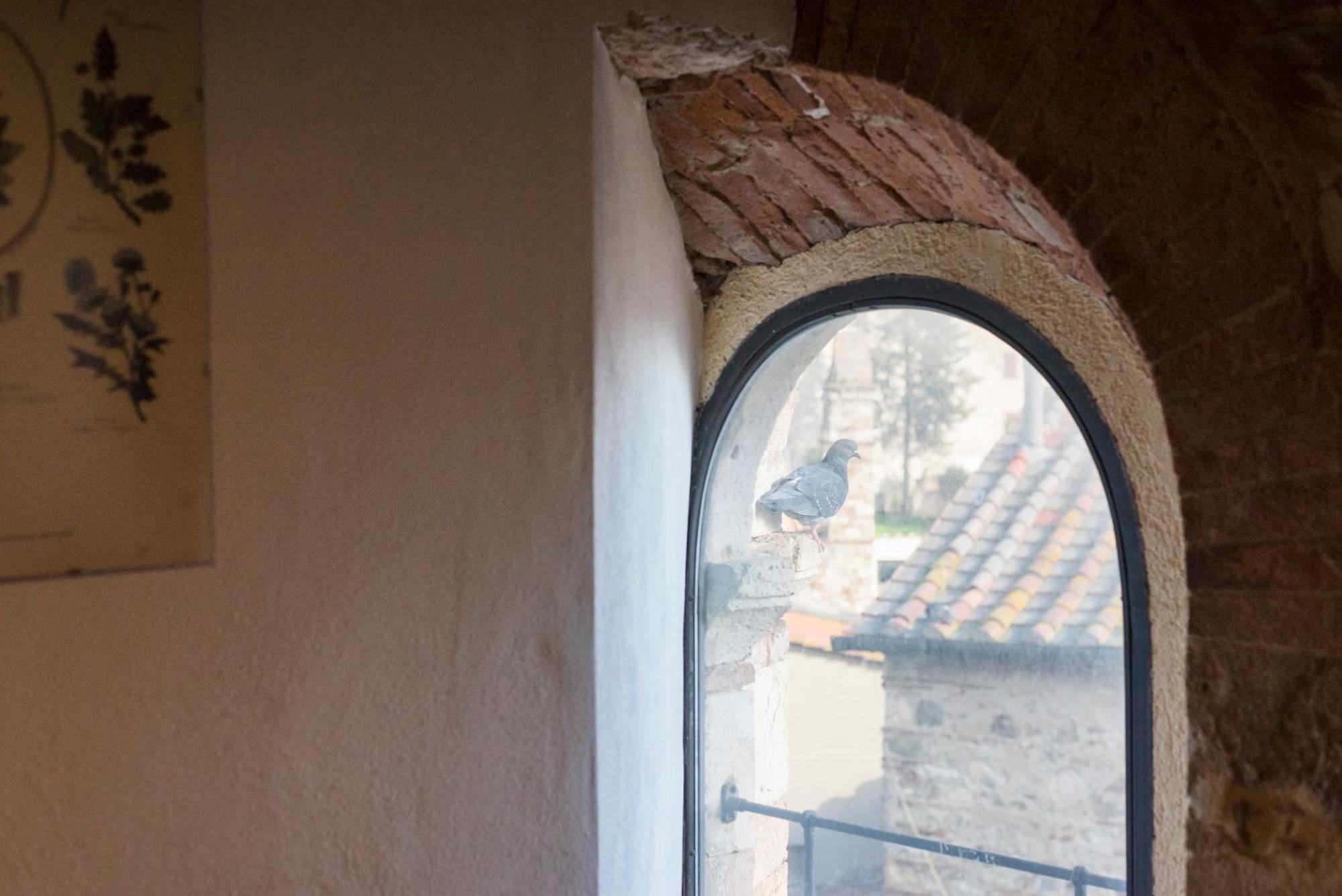 Il Chiostro Appartamenti & Suites Suvereto Bagian luar foto